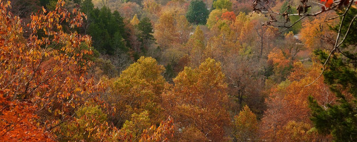 Fall in the Missouri Ozarks near Shady Beach Campground in Noel MO