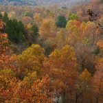 Fall in the Missouri Ozarks near Shady Beach Campground in Noel MO