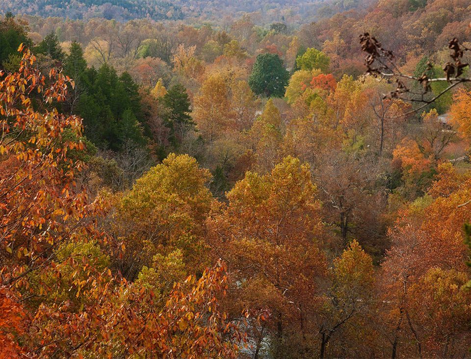 Fall in the Missouri Ozarks near Shady Beach Campground in Noel MO